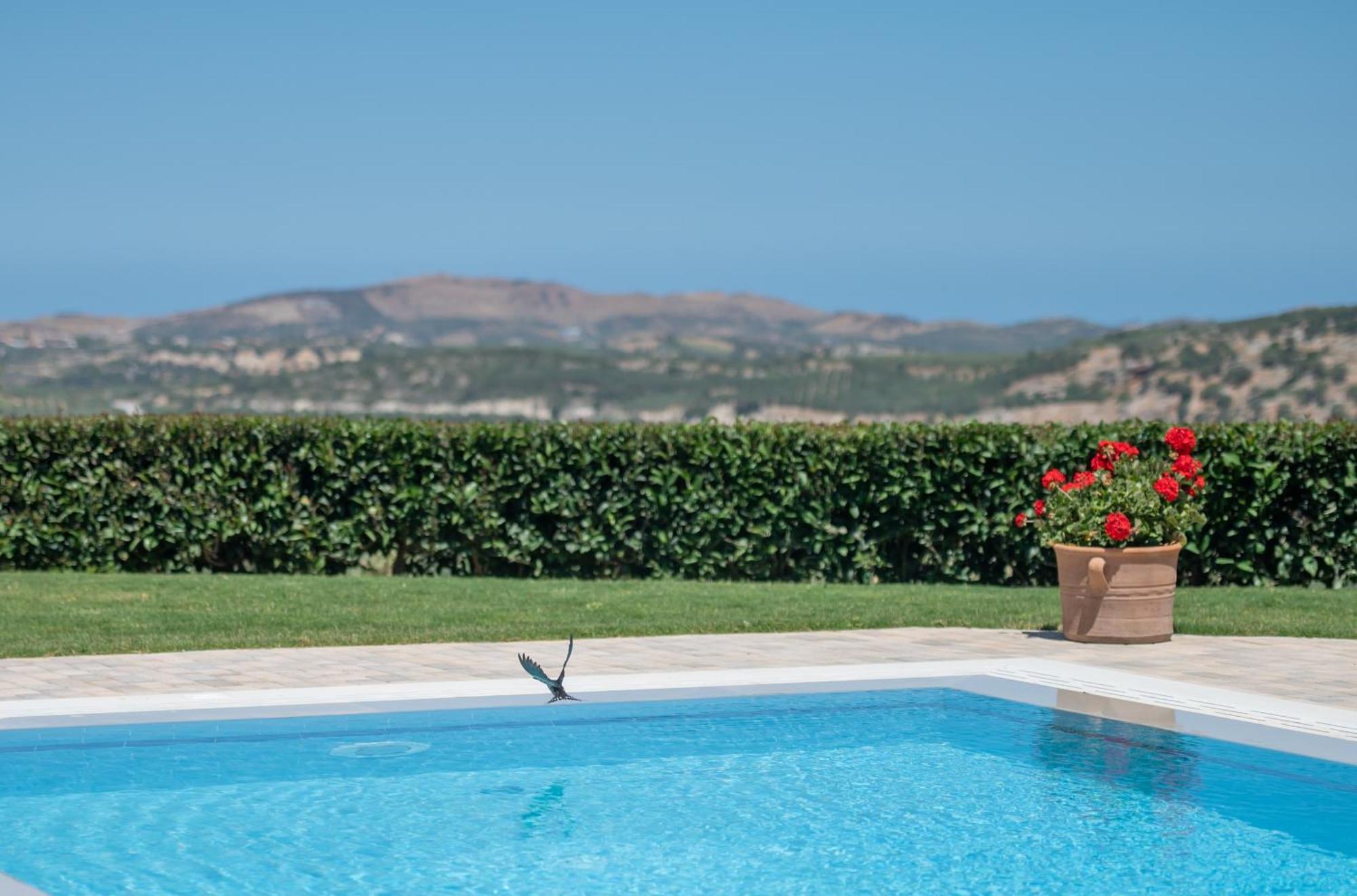 Villa Elisabeth Perama  Esterno foto